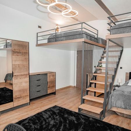 Apartmanovy Dum Sklipek トルトノフ エクステリア 写真