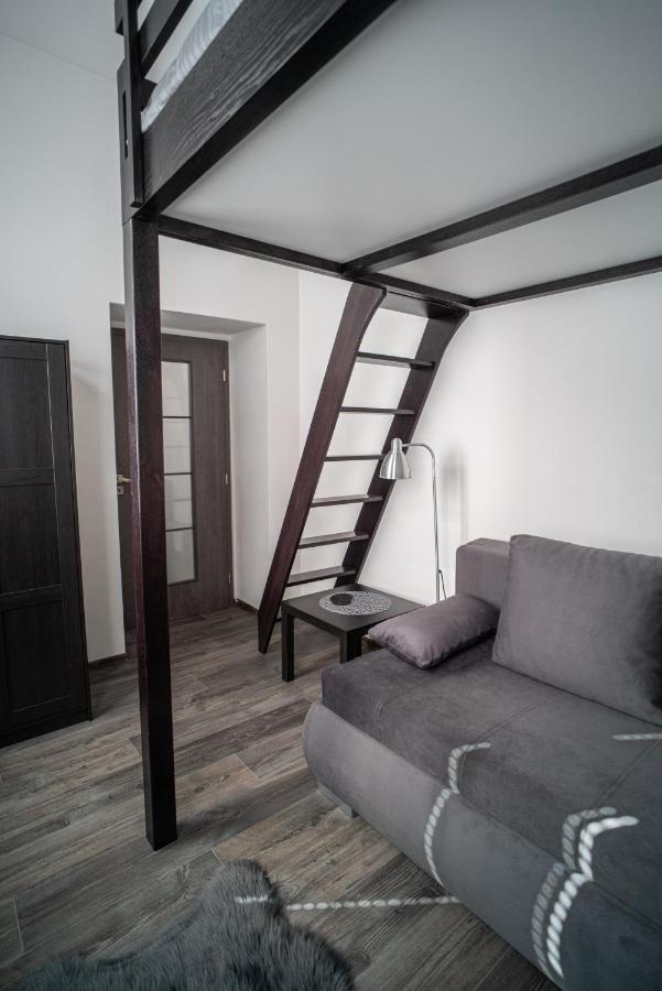 Apartmanovy Dum Sklipek トルトノフ エクステリア 写真