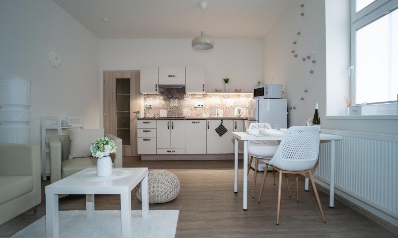 Apartmanovy Dum Sklipek トルトノフ エクステリア 写真