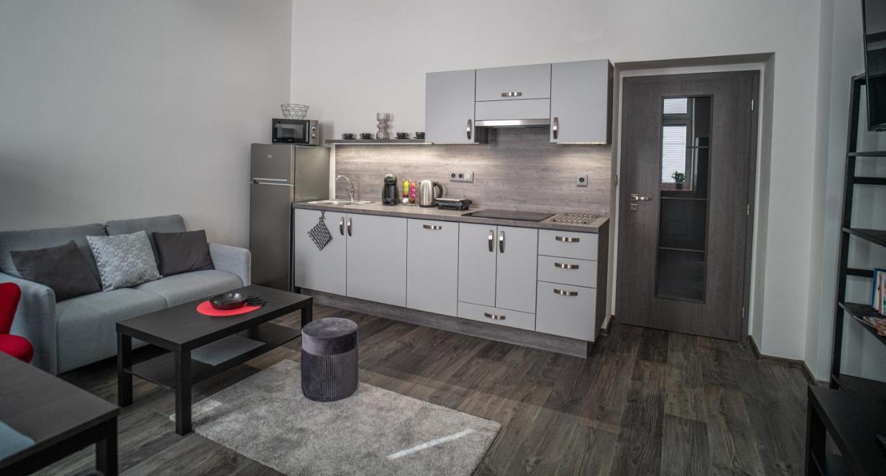 Apartmanovy Dum Sklipek トルトノフ エクステリア 写真