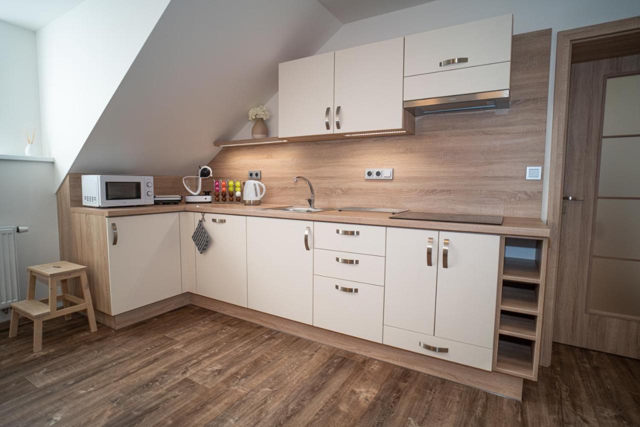 Apartmanovy Dum Sklipek トルトノフ エクステリア 写真