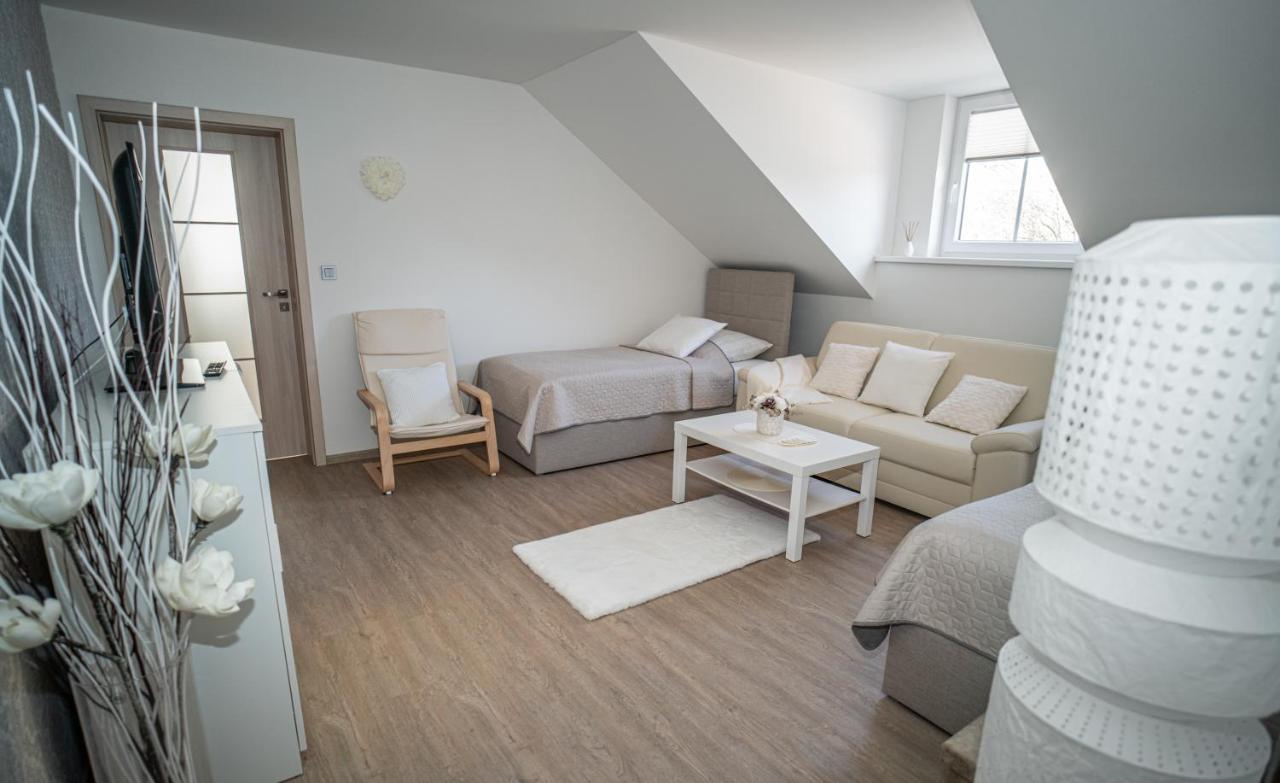 Apartmanovy Dum Sklipek トルトノフ エクステリア 写真
