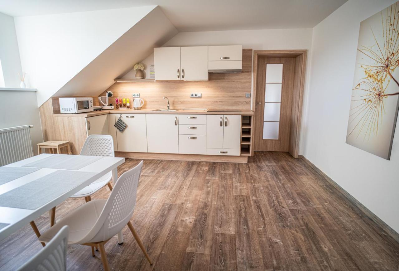 Apartmanovy Dum Sklipek トルトノフ エクステリア 写真